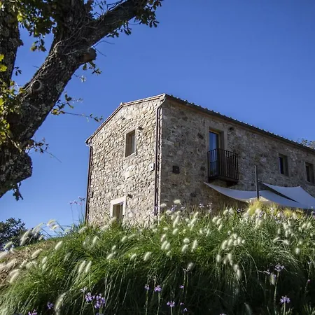 Azienda Meleta Villa